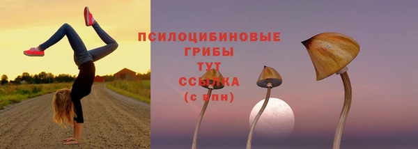 дмт Новокубанск